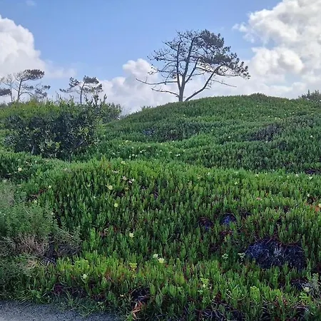 Casa Camarinhas Holiday home Aveiro