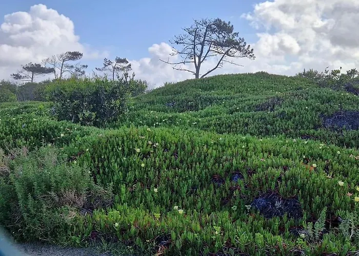 Casa Camarinhas بيت للعطل أفيرو
